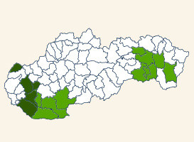 slovensko.jpg