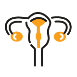 Ilustrácia gynekologická prehliadka