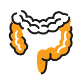 Ilustrácia gastroenterológ