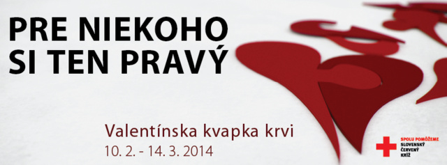 VKK 2014 media banner.png