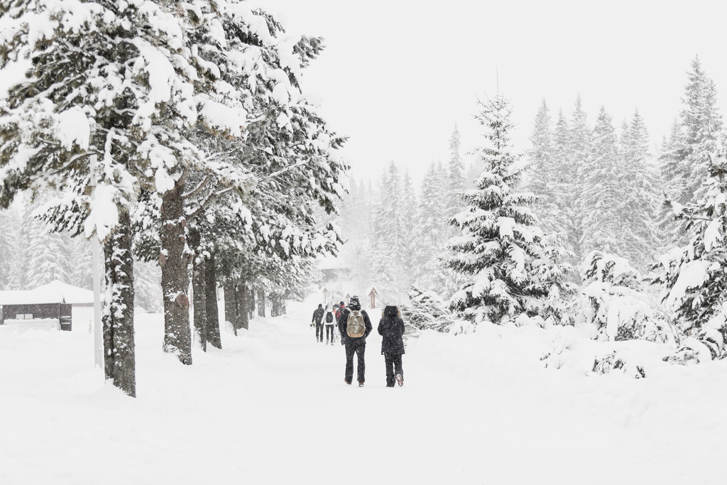 people-walking-snowy-woods.jpg