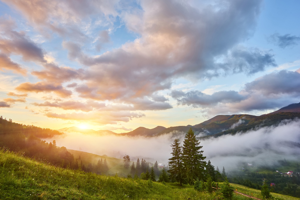beautiful-sunset-pine-forest-mountains.jpg