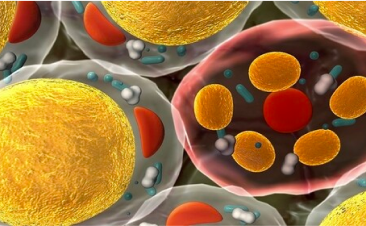 thumb-cholesterol.png