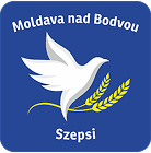 logo-moldava 1.png