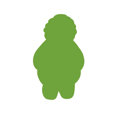 Kamenná žena